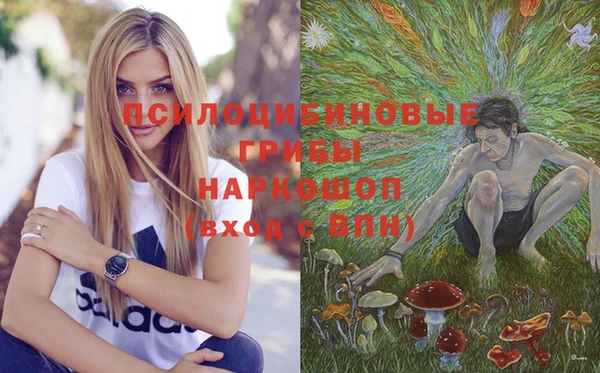 мет Абаза