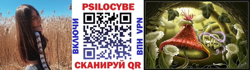как найти Зуевка Галлюциногенные грибы ЛСД